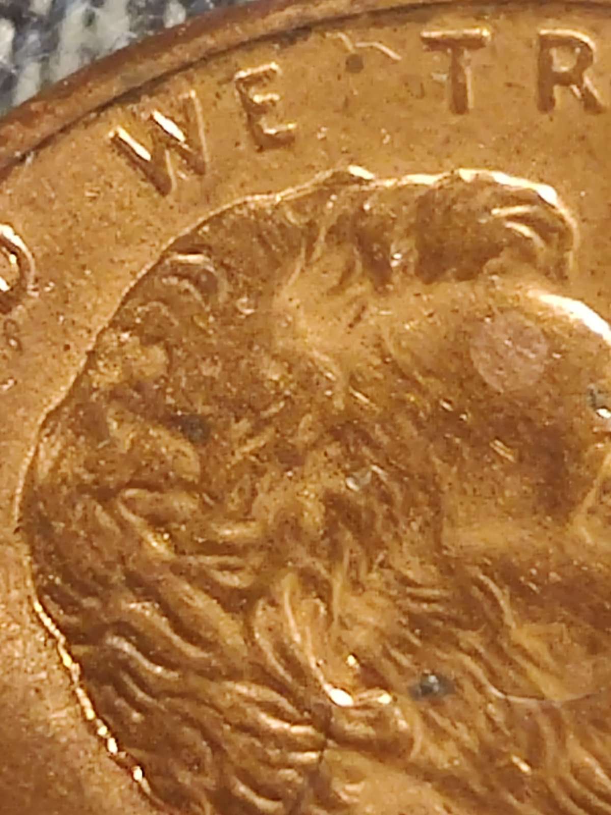 2007-D-Penny-Possible-Double-Earlobe-Need-Help